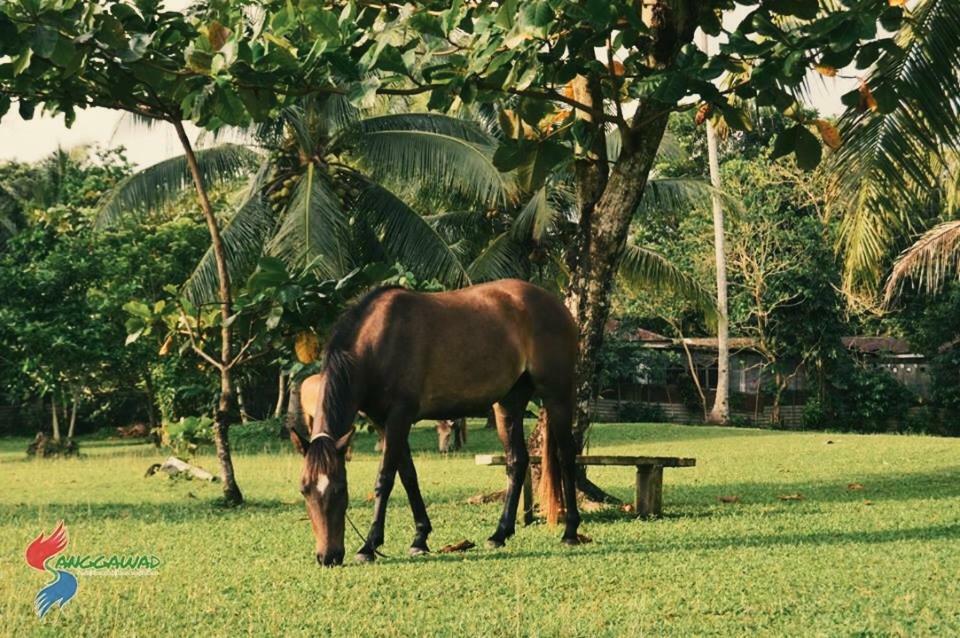 Gindi Viento De Marヴィラ エクステリア 写真